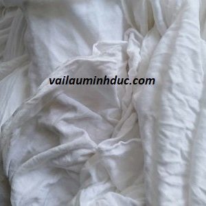 giẻ lau trắng bình dương