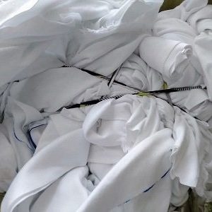 dẻ lau trắng đồng nai