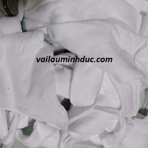 dẻ lau trắng sài gòn