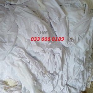 giẻ lau trắng thuận an
