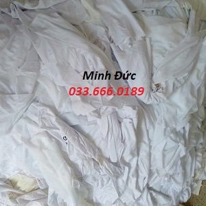 vải lau trắng tân thành